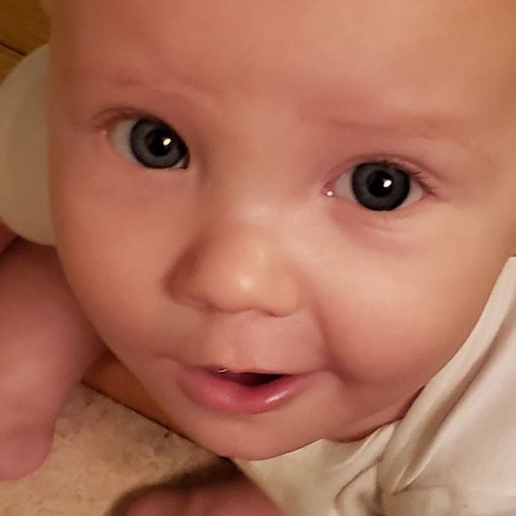 Meet your Posher, Joshua - Picture 1 of 1